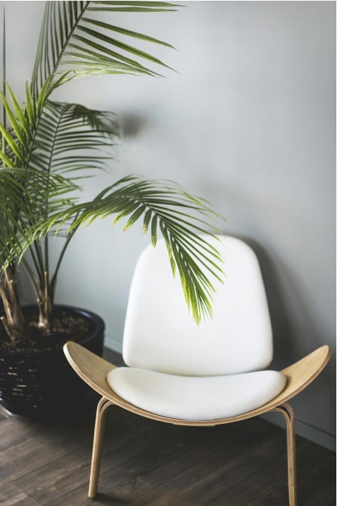 Standing desk in modern Sydney office